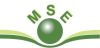 MSE