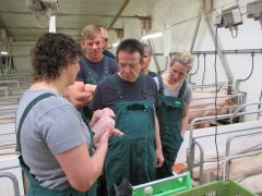 Gerhard Schmidt erfährt Wissenswertes über Ferkel
© IGS Thüringen e.V.