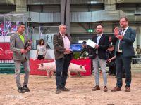 Staatssekretär Malsch überreicht Marko Hesse, AGN, den Staatsehrenpreis des Freistaates Thüringen
© IGS Thüringen